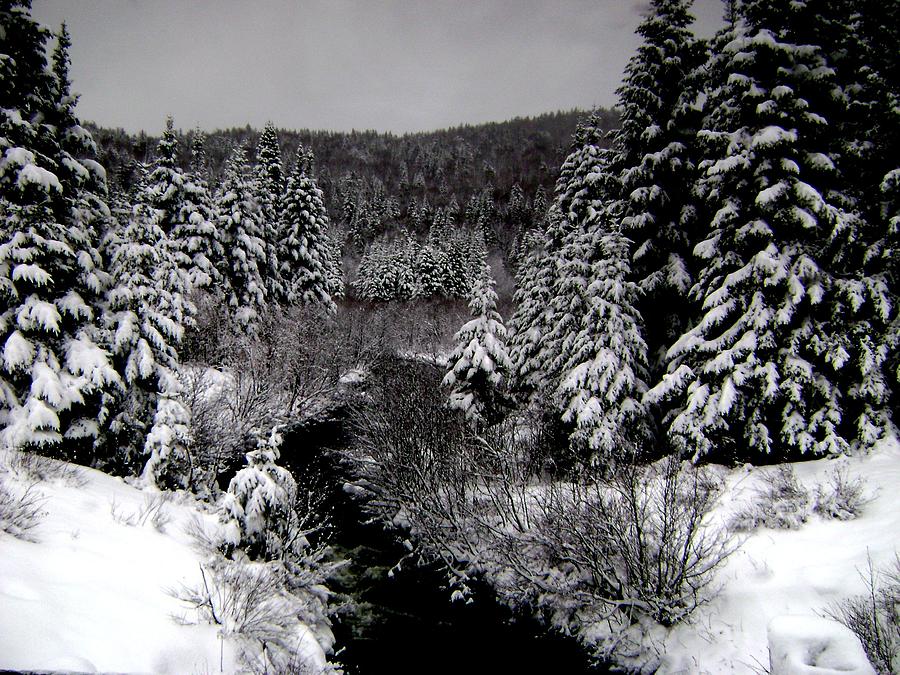 New Hampshire After The Snowfall Photograph by Rachel Kaufmann Fine