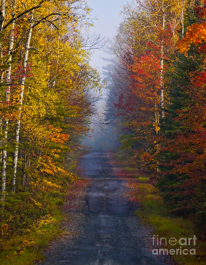 New Hampshire Back Road Photograph by Jerry Fornarotto