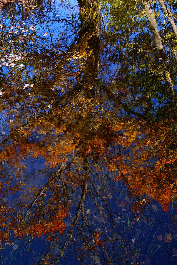 New Hampshire Farm Pond Reflections 2 Photograph by Robert Lozen