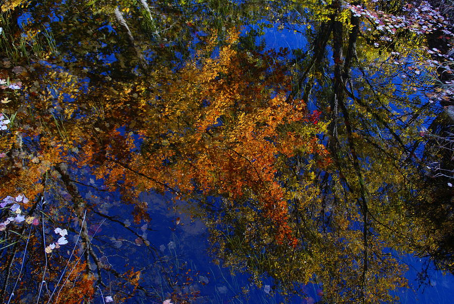 New Hampshire Farm Pond Reflections 3 Photograph by Robert Lozen