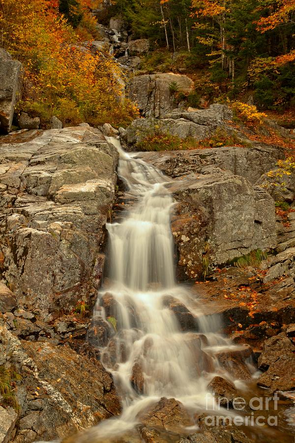 New Hampshire Flume Cascade Photograph by Adam Jewell