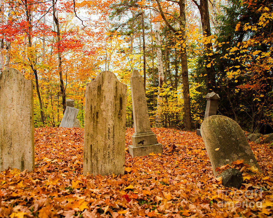 Nature Photograph - New Hampshire Mountain Cemetery by Sonja Quintero