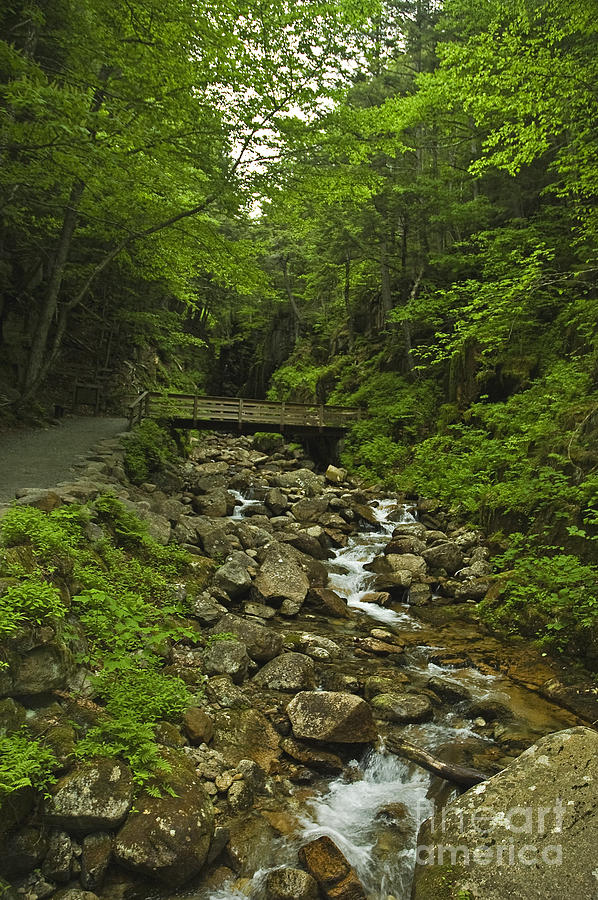 New Hampshire Mountain Stream Photograph