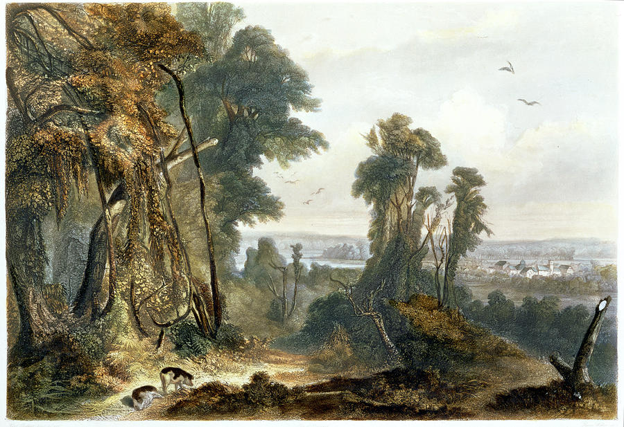 Indiana Drawing - New Harmony On The Wabash, Plate 2 by Karl Bodmer
