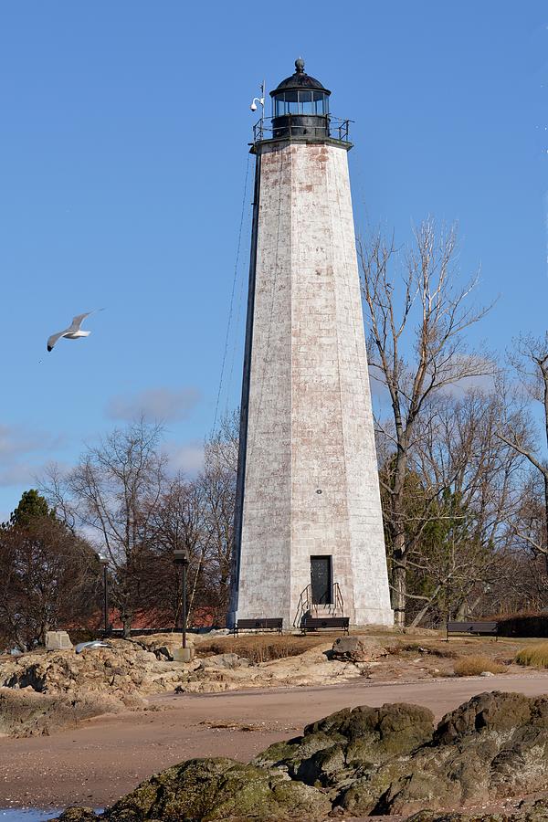 New Haven Lighthouse Tower Photograph by Keith Stokes