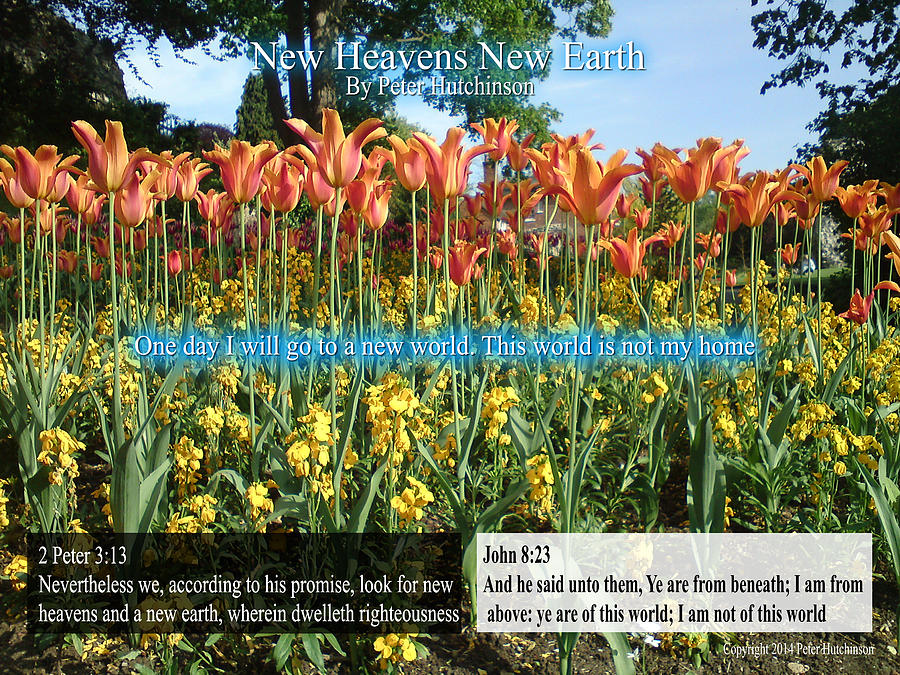 New Heavens New Earth Photograph by Bible Verse Pictures