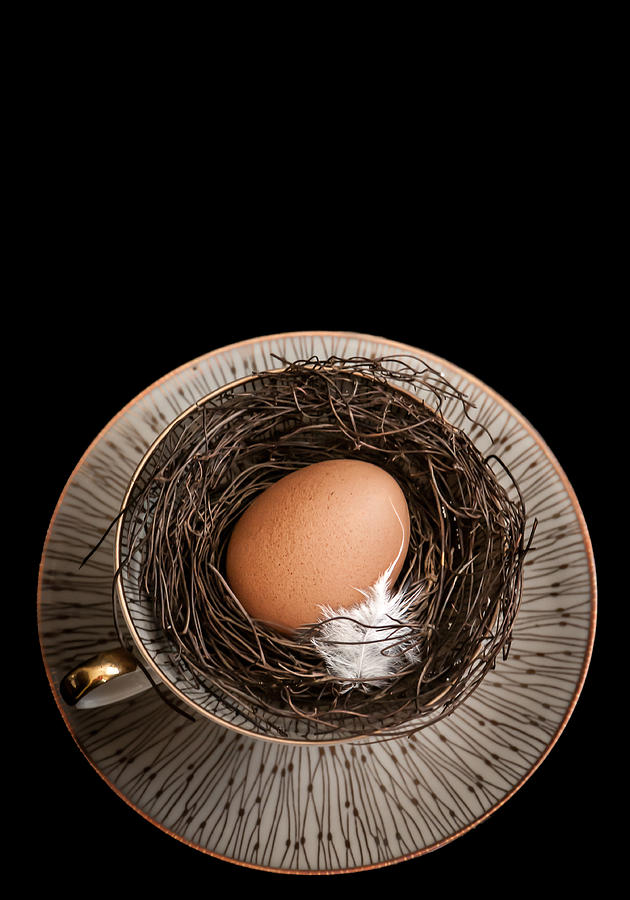 Egg Photograph - New Home by Maggie Terlecki