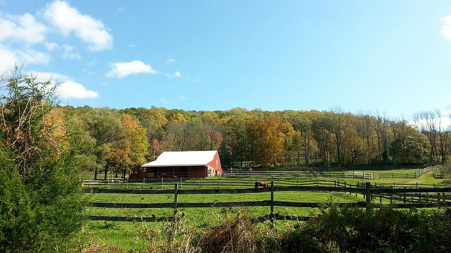 New Jersey Farm Living Photograph by Laura Hopta - Fine Art America