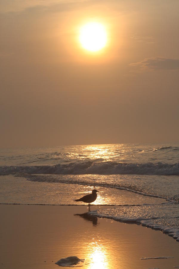 New Jersey Sunrise Photograph by Vadim Levin