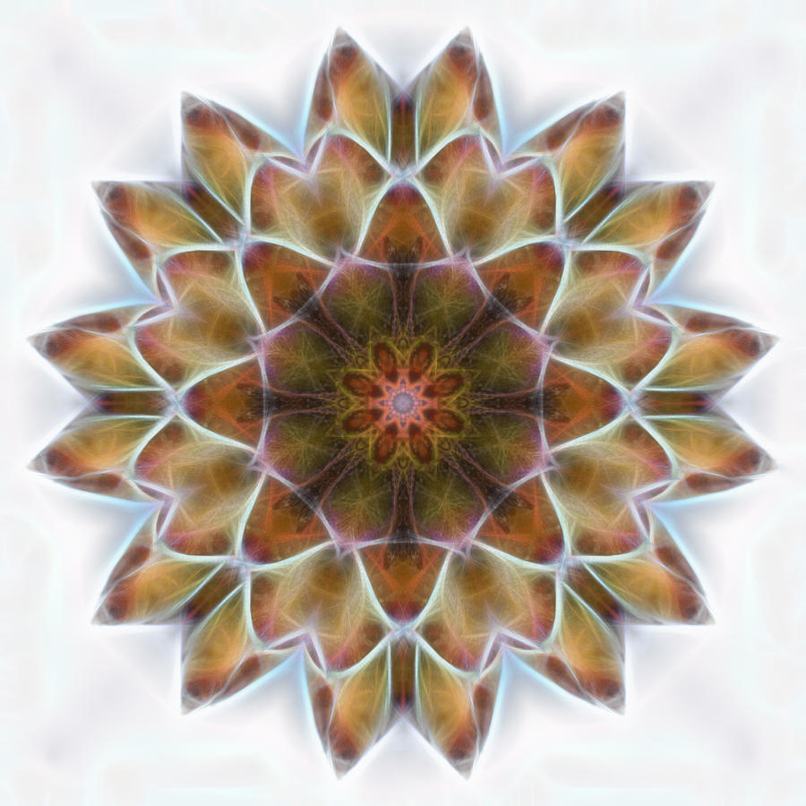 New Life Mandala Digital Art by Beth Sawickie