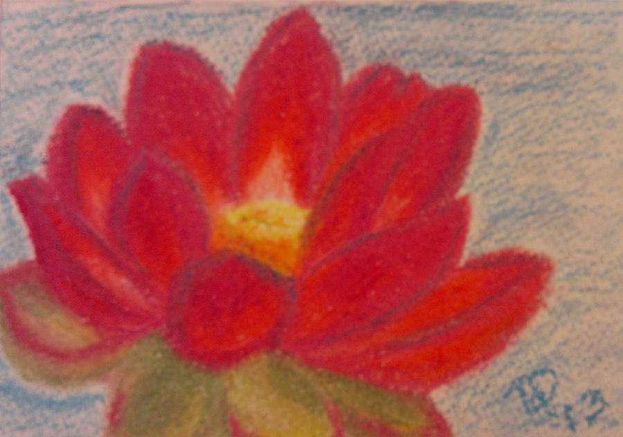 New Life by Thomasina Durkay New Life by Thomasina Durkay