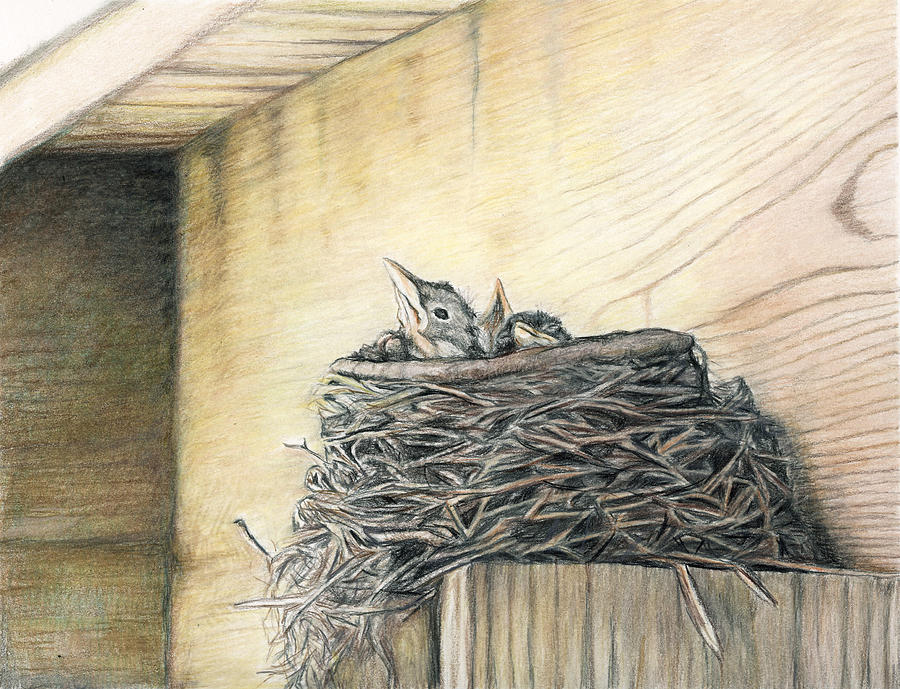 Robin Painting - New Life Under My Deck by Charlotte Yealey