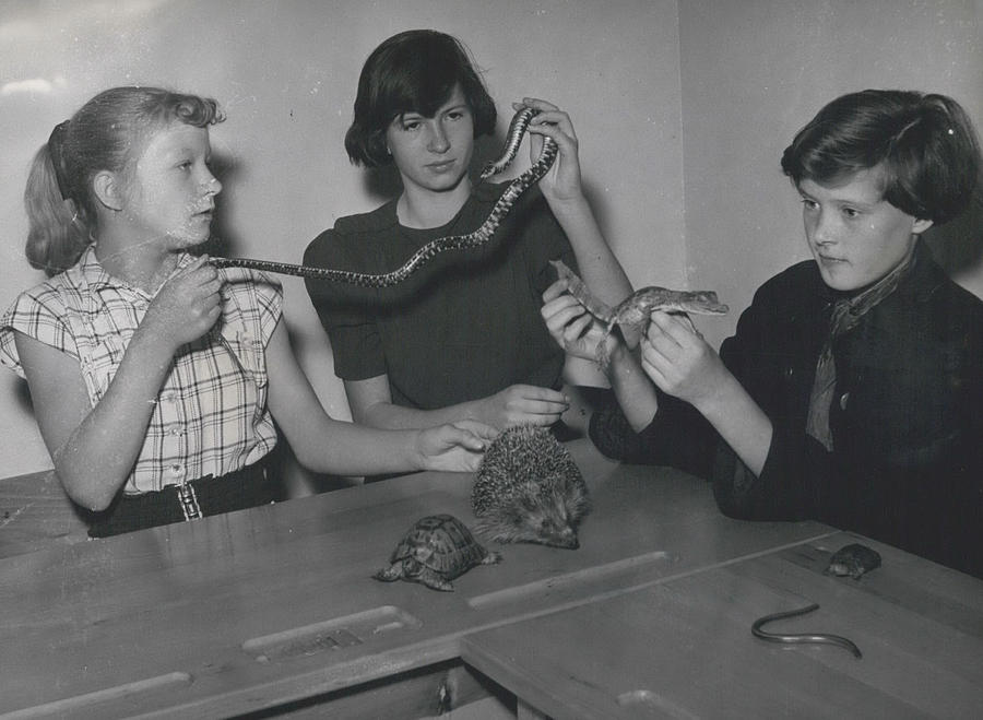 New Method Of Biological Lessons Photograph by Retro Images Archive