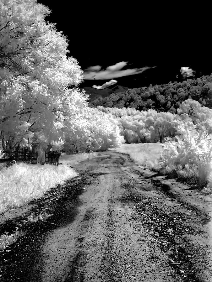 New Mexico Back Road Photograph by Joshua House