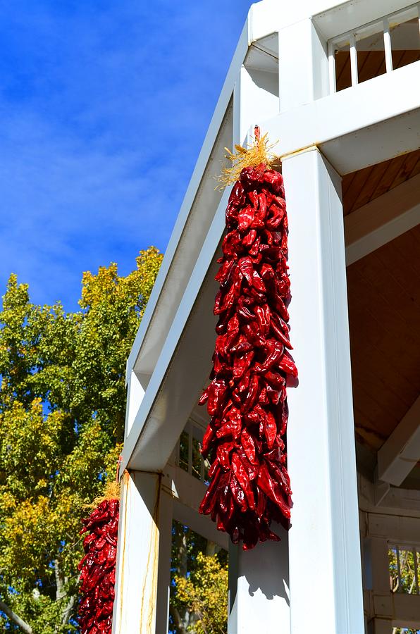 New Mexico Chili Ristras Photograph by Dan Vallo - Fine Art America