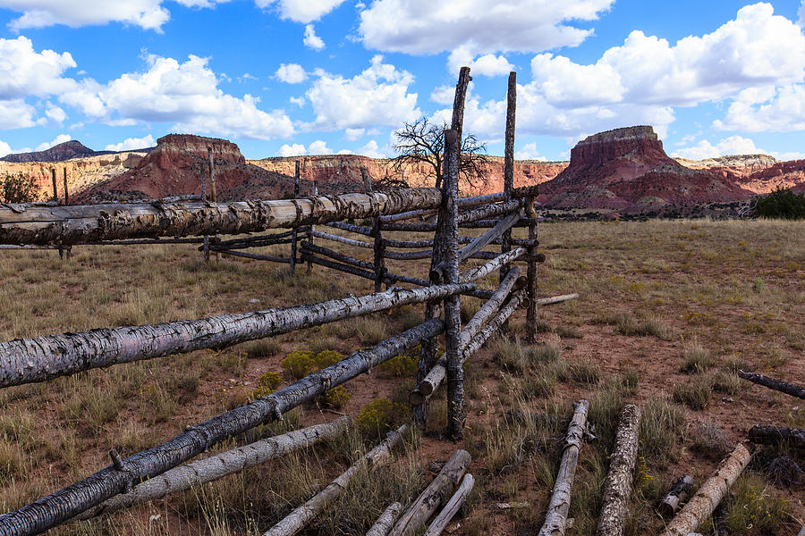 New Mexico Corral Photograph by Ben Graham