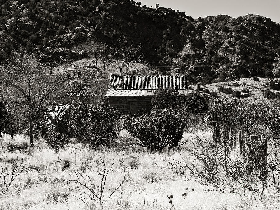 New Mexico Cuervo in Black and White Photograph by Lee Craig