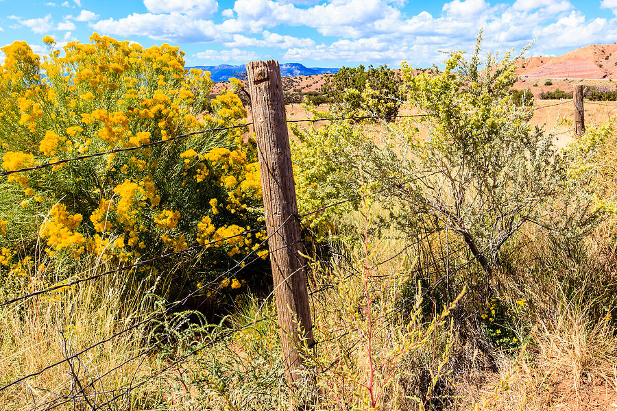 New Mexico Fence Photograph by Ben Graham