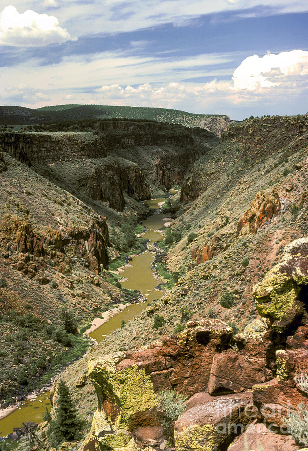 New Mexico Gorge Photograph by Bob Phillips
