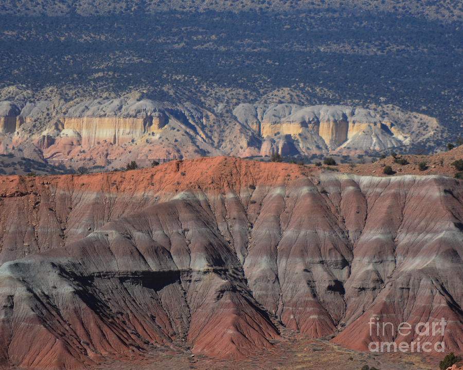 New Mexico Landscape Photograph by John Greco