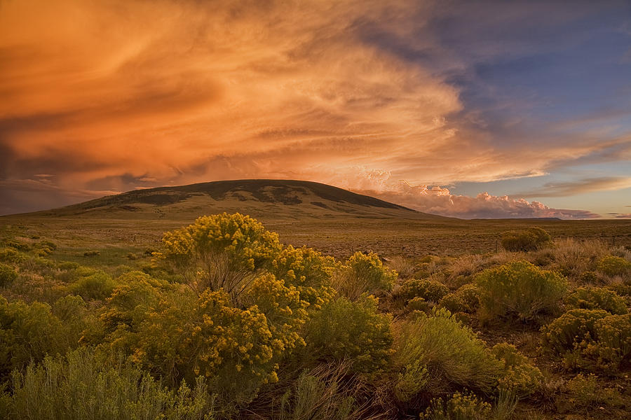 New Mexico Magic Photograph by Morris McClung