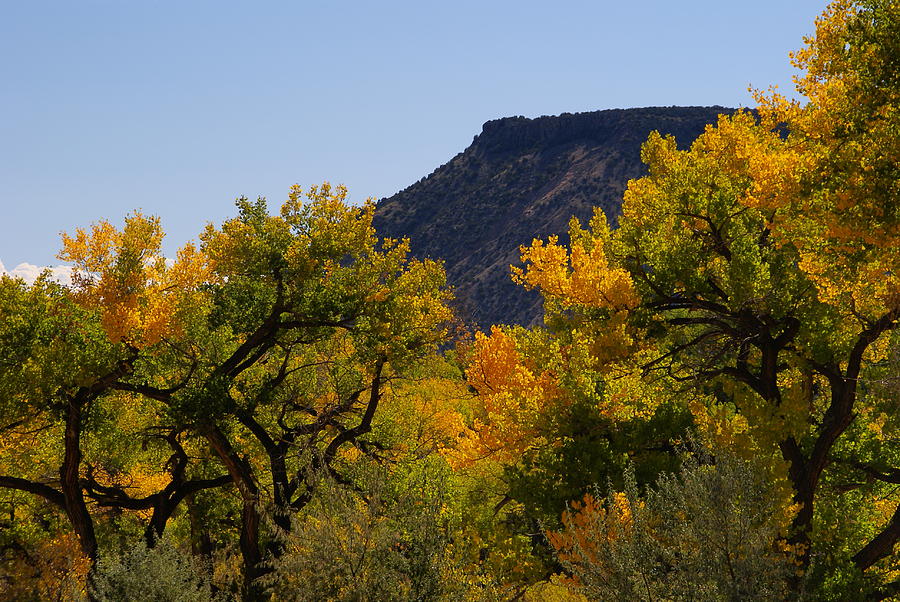 New Mexico Mesa Photograph by Robert Lozen