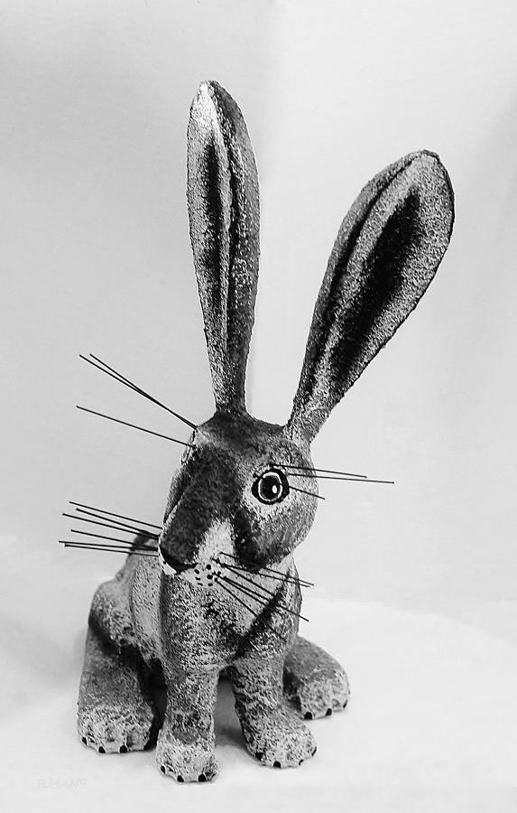 New Mexico Rabbit B W Photograph by Rob Hans