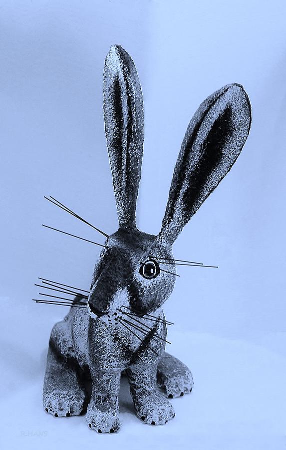 New Mexico Rabbit Cyan Photograph by Rob Hans