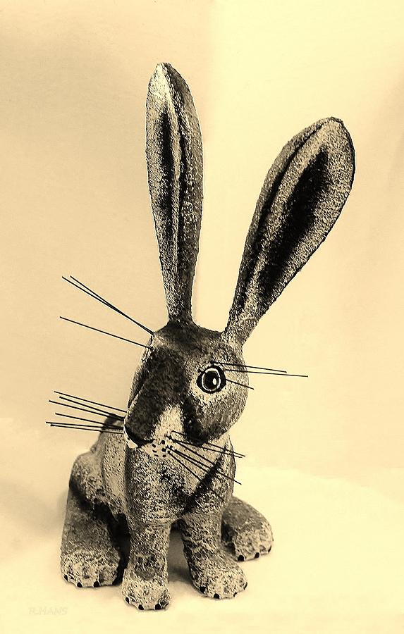 New Mexico Rabbit Dark Sepia Photograph by Rob Hans