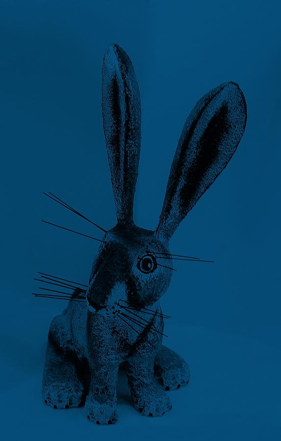 New Mexico Rabbit Denim Blue Photograph by Rob Hans