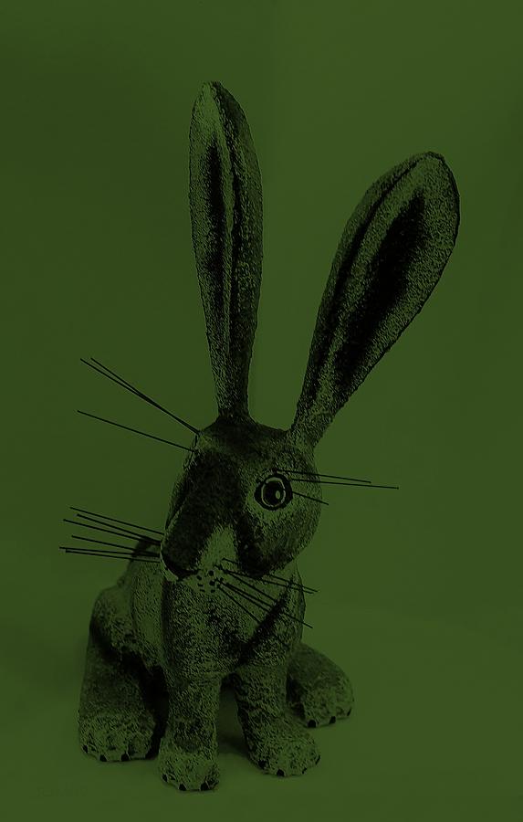 New Mexico Rabbit Green Photograph by Rob Hans