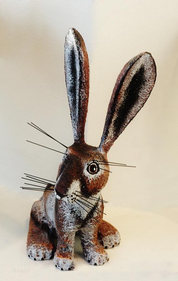 New Mexico Rabbit O Photograph by Rob Hans
