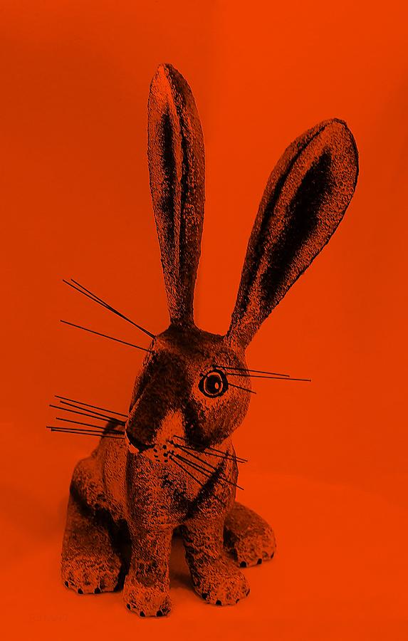 New Mexico Rabbit Orange Photograph by Rob Hans