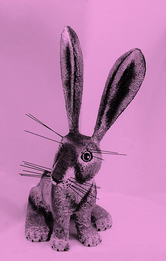 New Mexico Rabbit Pink Photograph by Rob Hans