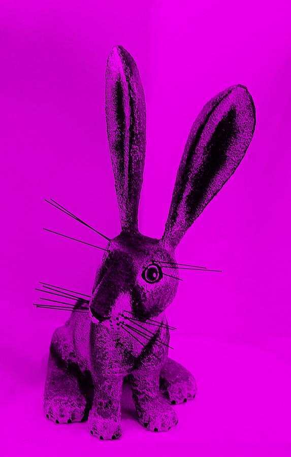 New Mexico Rabbit Purple Photograph by Rob Hans