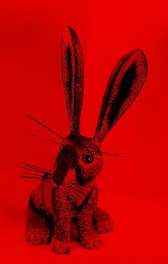 New Mexico Rabbit Red Photograph by Rob Hans