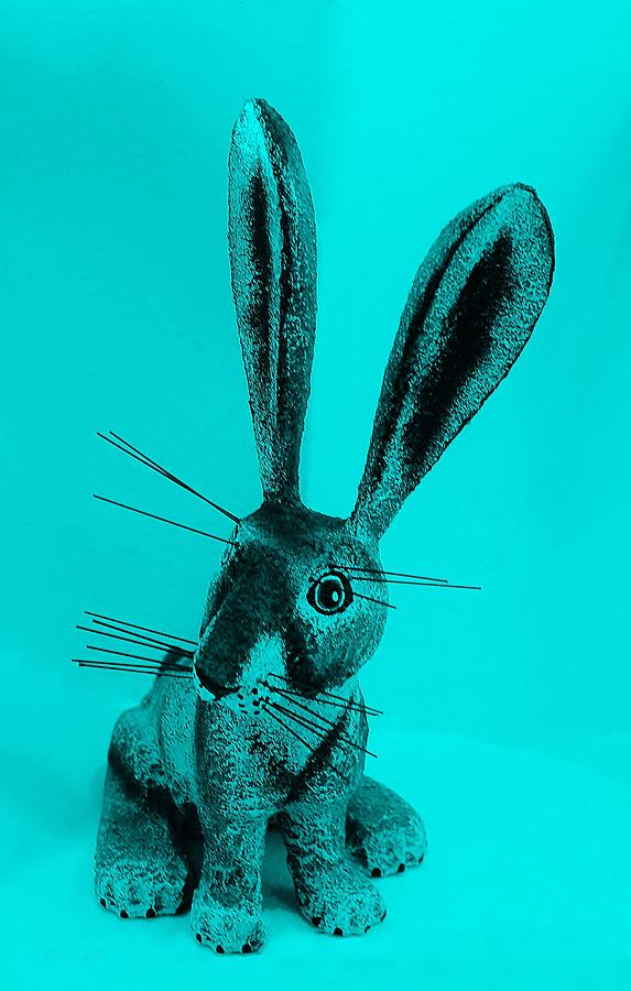 New Mexico Rabbit Turquoise  Photograph by Rob Hans