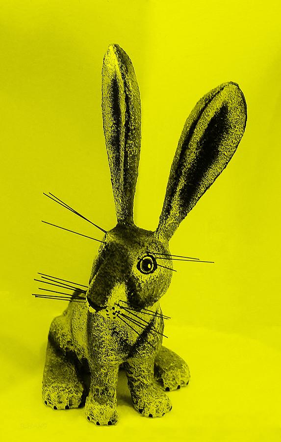 New Mexico Rabbit Yellow Photograph by Rob Hans