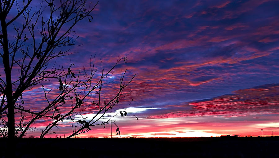Sunrise Photograph - New Mexico Sunrise by Mark McKinney