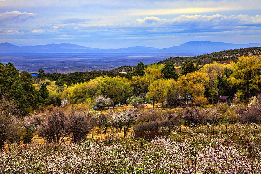New Mexico View Photograph by Diana Powell