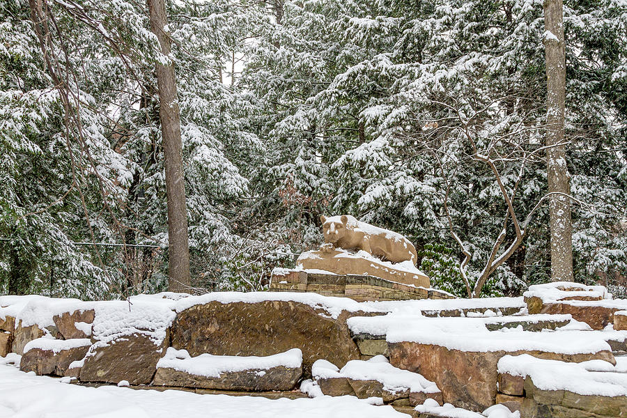 New Nittany Lion in Winter Photograph by William Ames