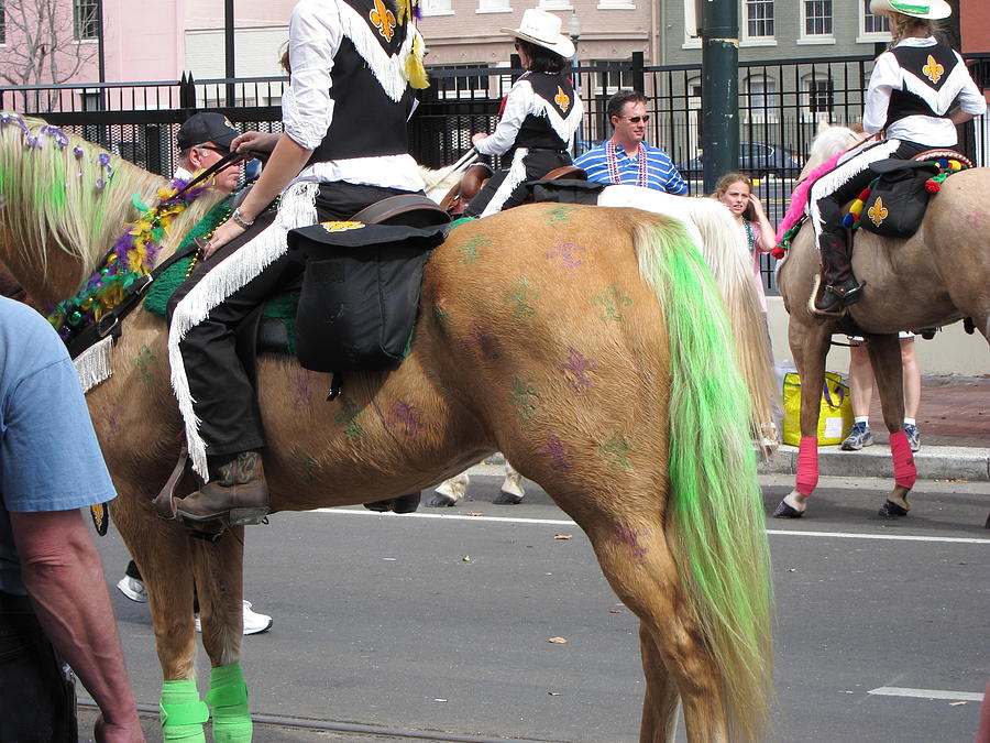 New Photograph - New Orleans - Mardi Gras Parades - 1212140 by DC Photographer