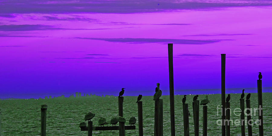 New Orleans Purple Skyline Photograph by Luana K Perez