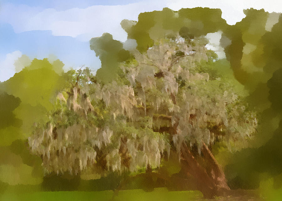 Tree Photograph - New Orleans Spanish Moss on Live Oaks by Alexandra Till