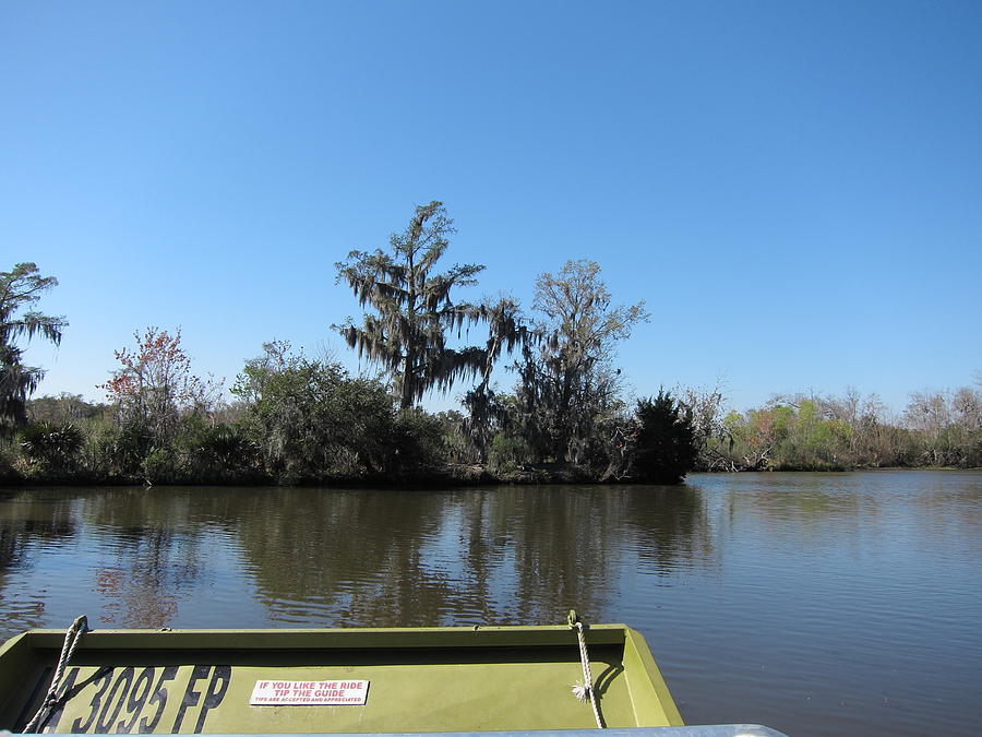 Boat Photograph - New Orleans - Swamp Boat Ride - 121235 by DC Photographer
