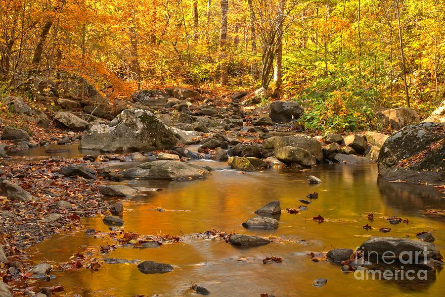 New River Gorge Stream Photograph by Adam Jewell