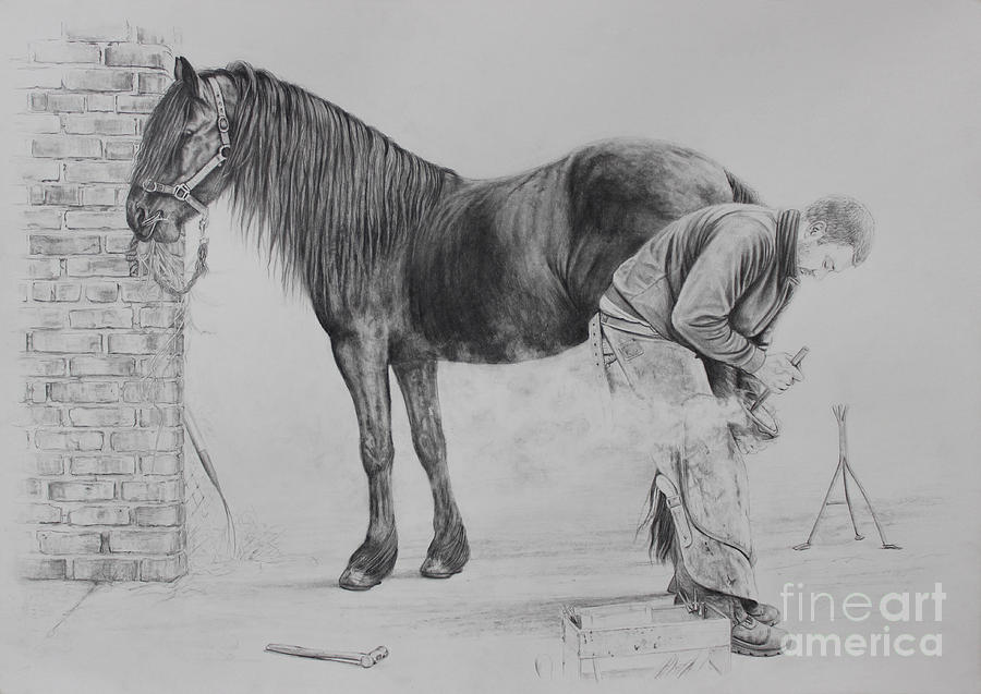 Horse Drawing - New Shoes by Caroline Collinson
