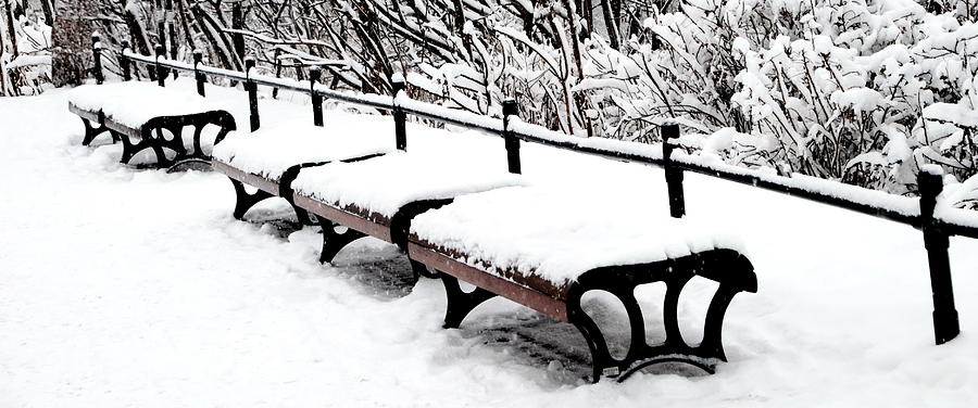 Nature Photograph - New Snow - Benches by Jacqueline M Lewis