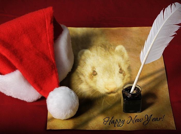 Holiday Digital Art - New Year Ferret by Tim Smith