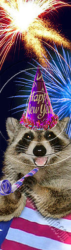 Independence Day Photograph - New Year Raccoon # 519 by Jeanette K